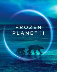 BBC. Замёрзшая планета 2 (2022) смотреть онлайн